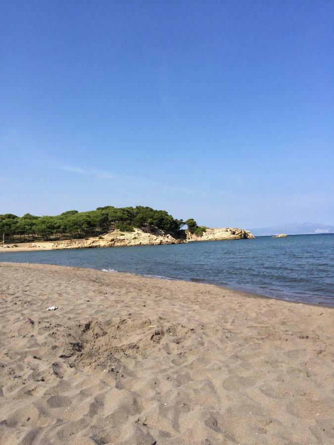 2 Bedroom Apartment In The Old Town, Close To The Beach L' Escala Dış mekan fotoğraf